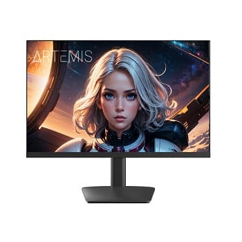 MON 23.8P IPS NTECH 24RX3H100P