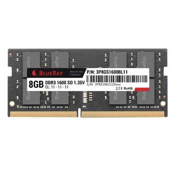 8GB DDR3 1600 1X204 BLUERAY