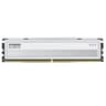 16GB DDR5 6400 CL30 KLEV FIV W