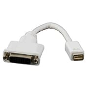 ADAP.MINI DVI P/DVI-D (24+1P)F