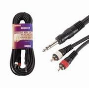 CAB.AUD.PRO.J.6.35MMX2RCA M.6M
