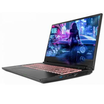 NB I7 10870H 3060 32/1TB 15P
