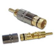 BANANA ESPECIAL DOURADA 4MM PR