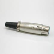 FIC.CANON FEMEA EXTENSAO