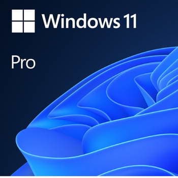 WINDOWS 11PRO 64B POR 1PK DVD