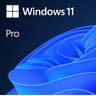 WINDOWS 11PRO 64B POR 1PK DVD